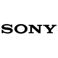 Ремонт нетбуков Sony в Пушкине