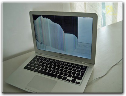 Замена матрицы Apple MacBook в Пушкине