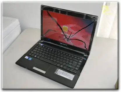 Замена матрицы Packard Bell в Пушкине